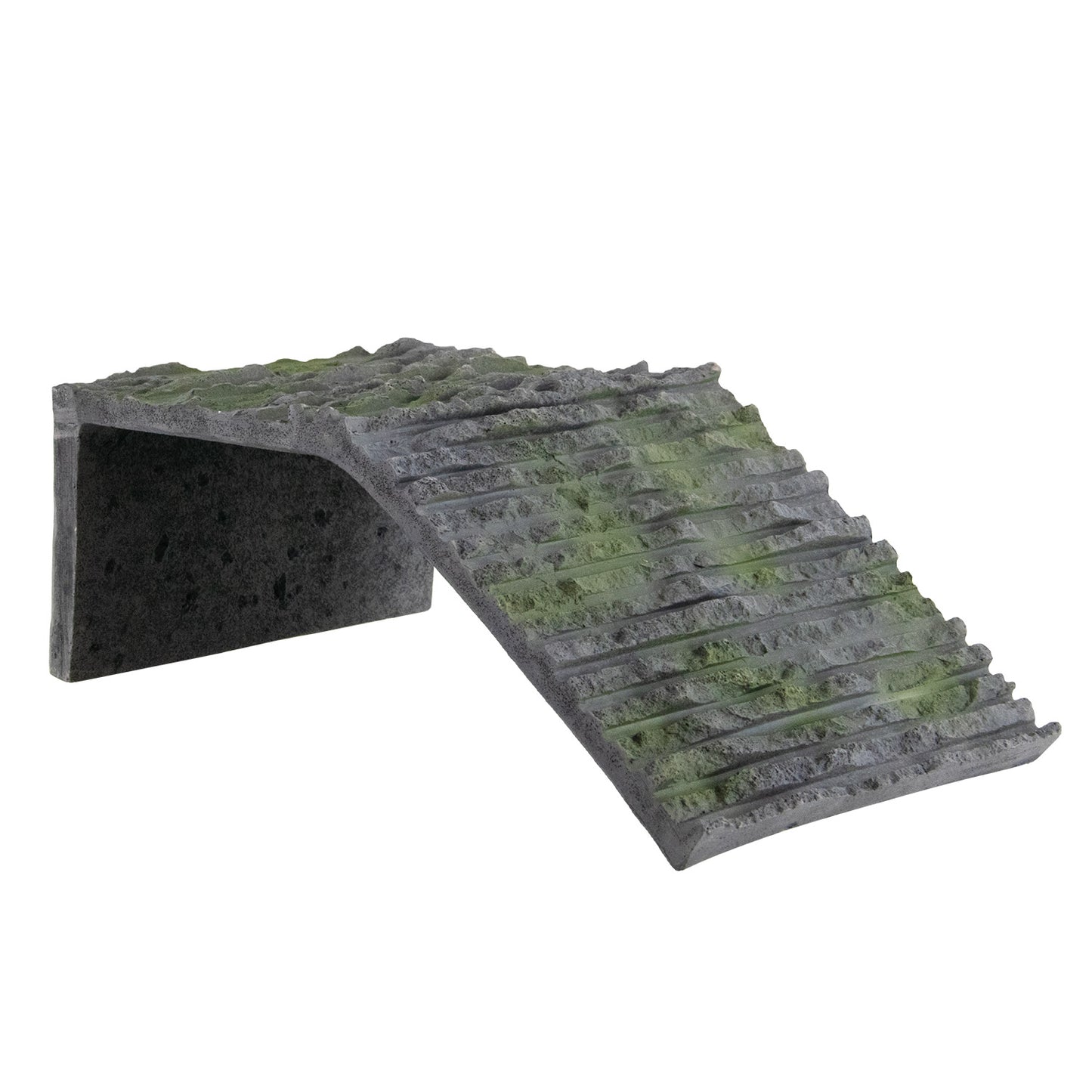 Basking Ramp