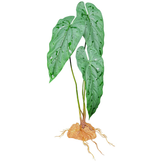 Komodo Emerald Vine Standing Plant Komodo