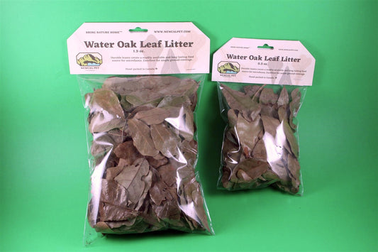 Water Oak Leaf Litter NewCal