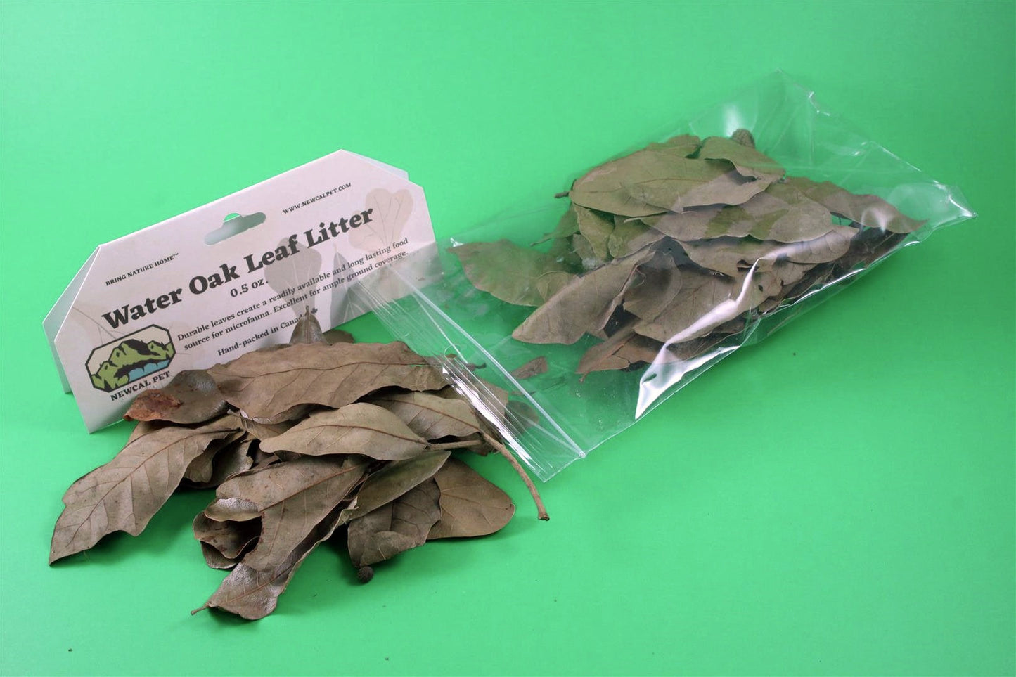 Water Oak Leaf Litter NewCal