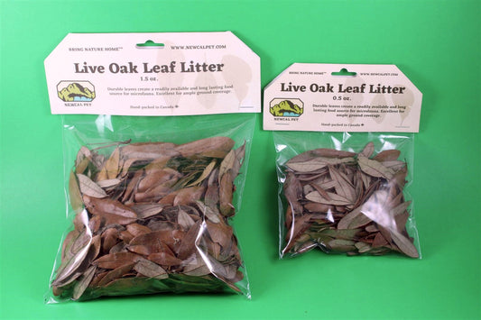 Live Oak Leaf Litter NewCal
