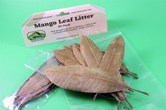 Mango Leaf Litter - 20pk NewCal