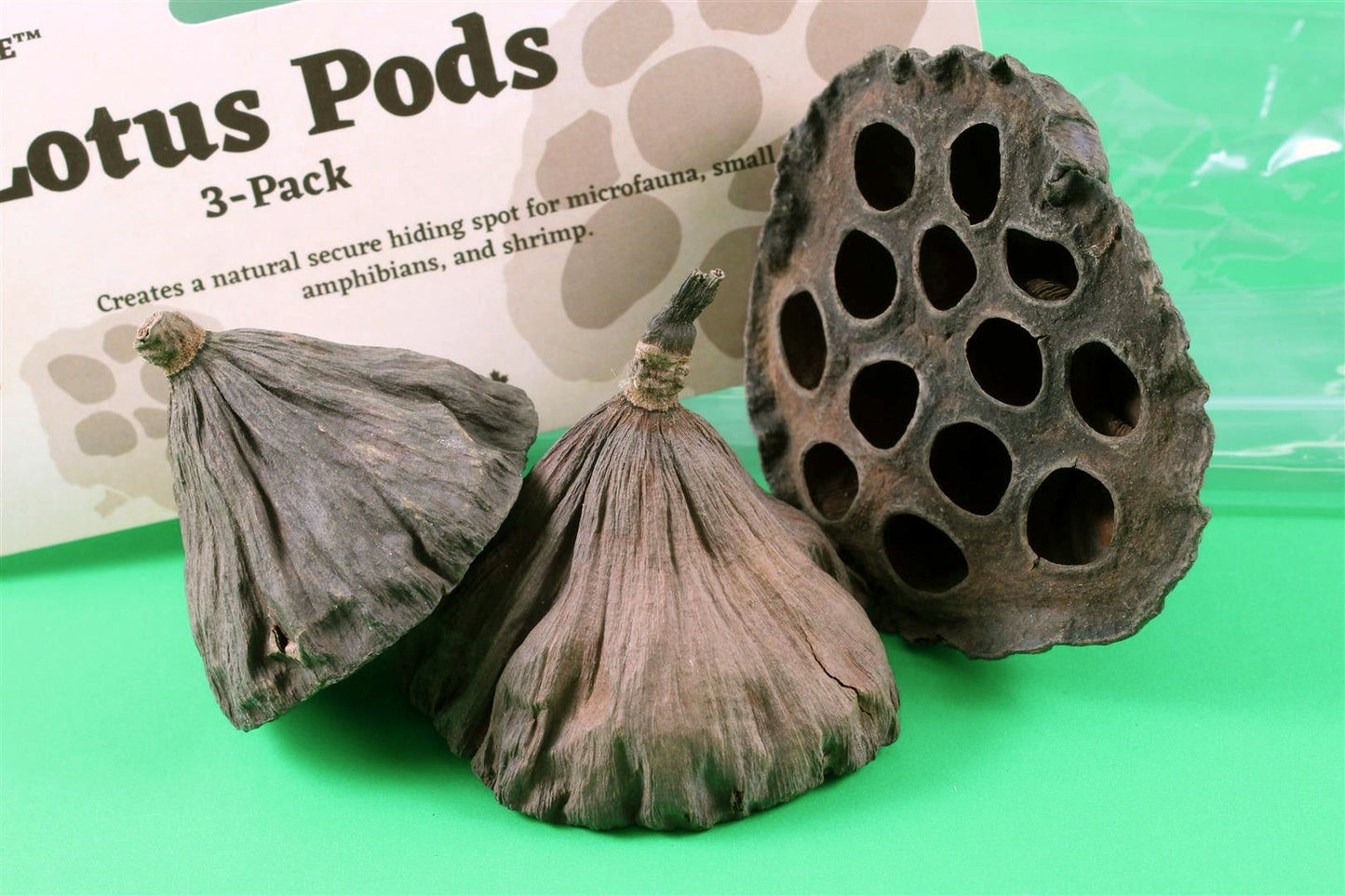 Lotus Pods - 3pk NewCal