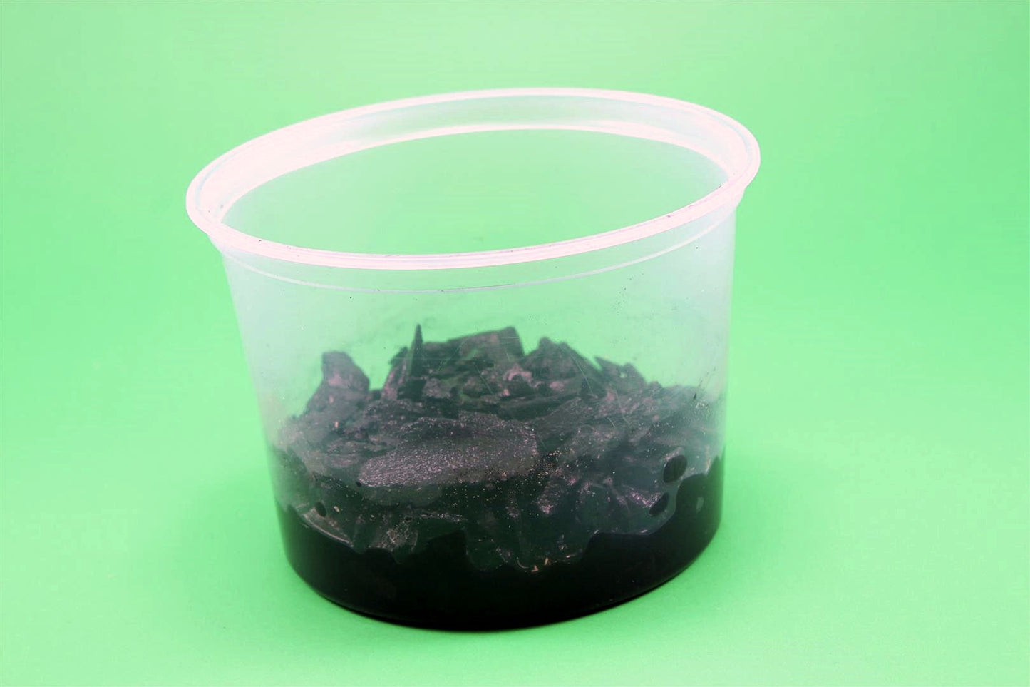 Pink Tropical Springtails All Reptiles