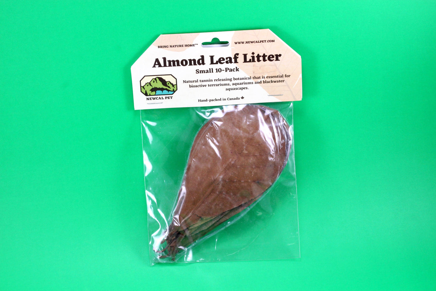 Indian Almond Leaves - 10pk