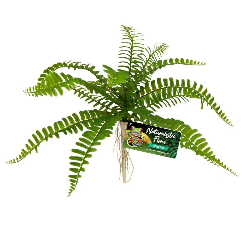 ZM Sword Fern Zoo Med