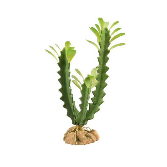ZM Desert Flora Euphorbia Zoo Med