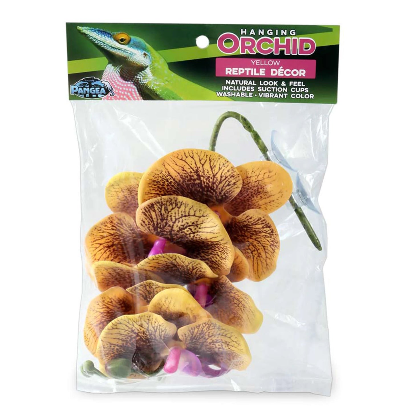Pangea Hanging Orchid - Yellow