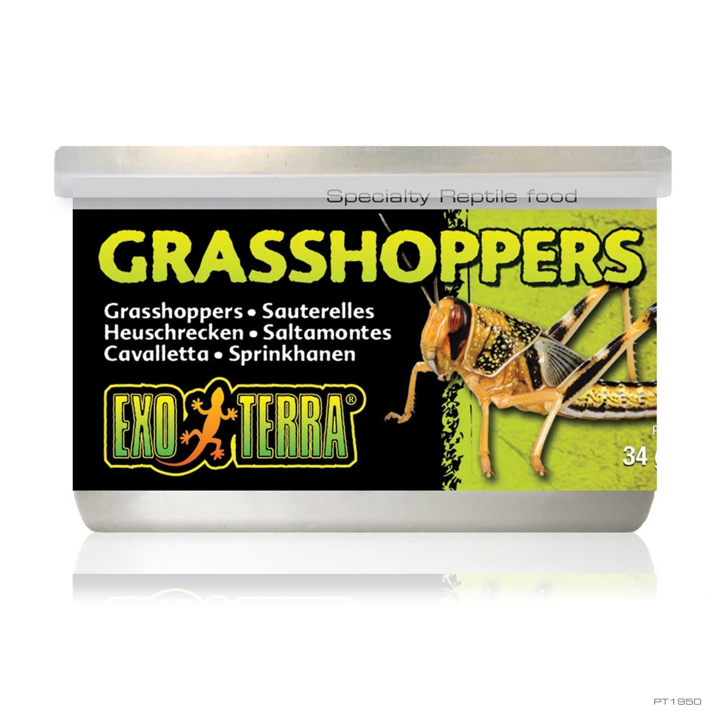 Exo Terra Canned Grasshoppers Exo Terra