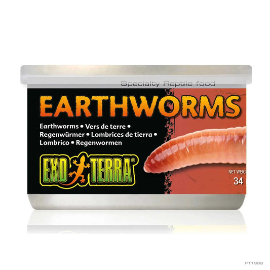 Exo Terra Canned Earthworms Exo Terra
