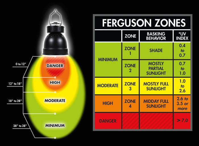 Powersun HID Metal Halide Combo Zoo Med