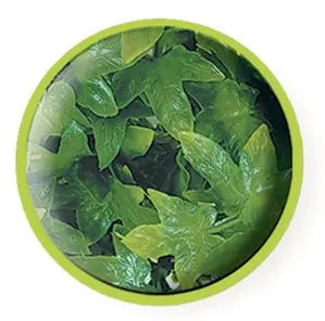 ZM Congo Ivy Zoo Med