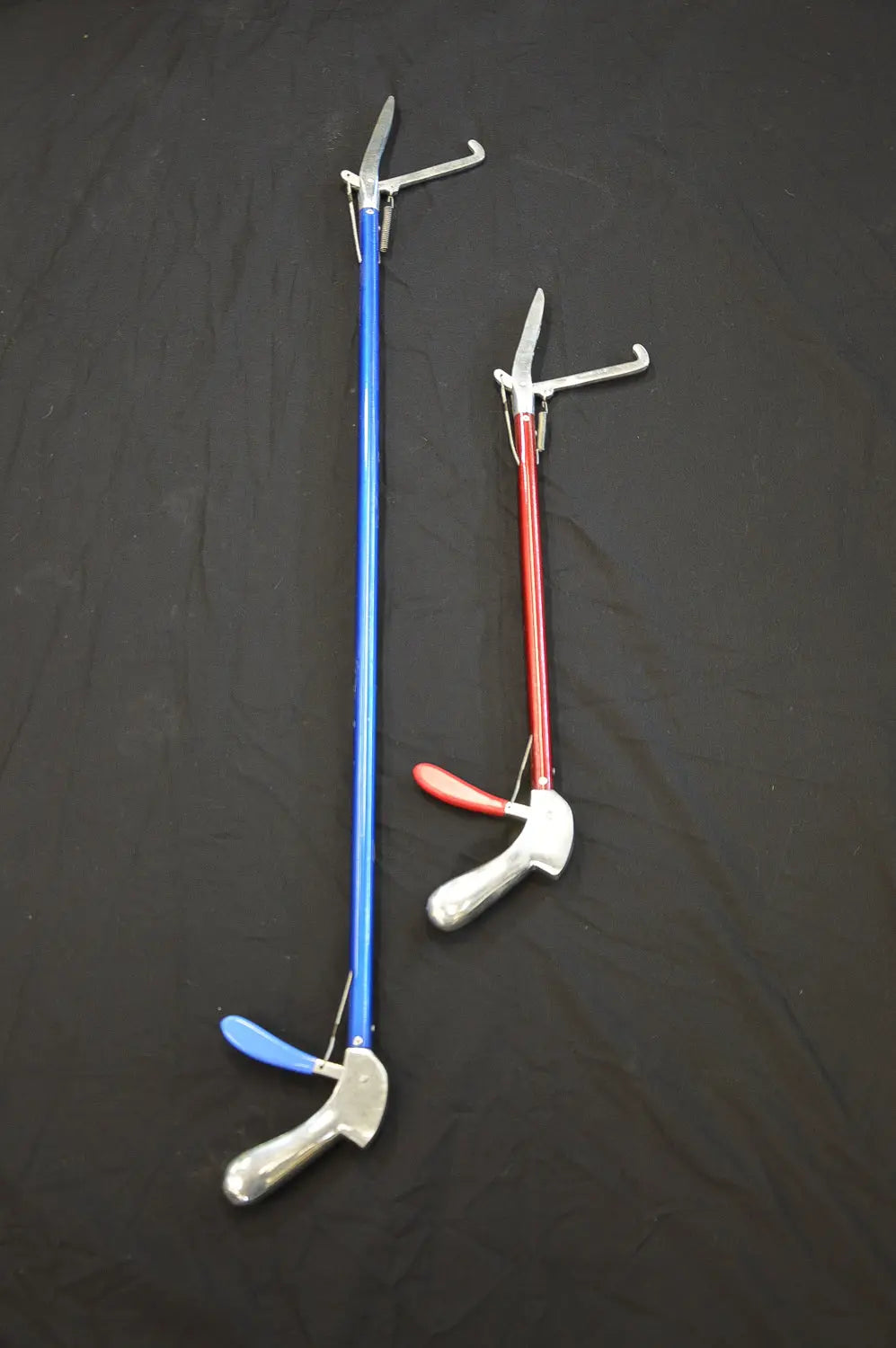 allreptiles_2016-291