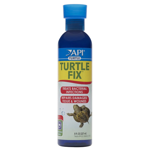 api-turtle-fix-8