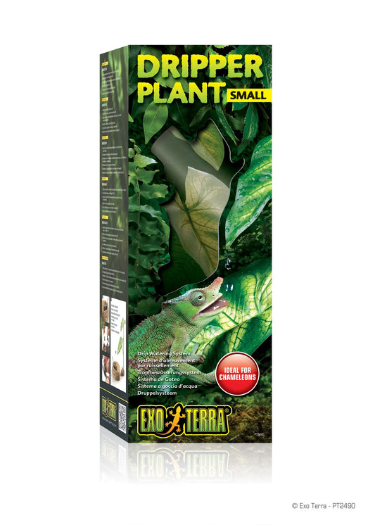 box_dripper_plant_small_pt2490_rgb