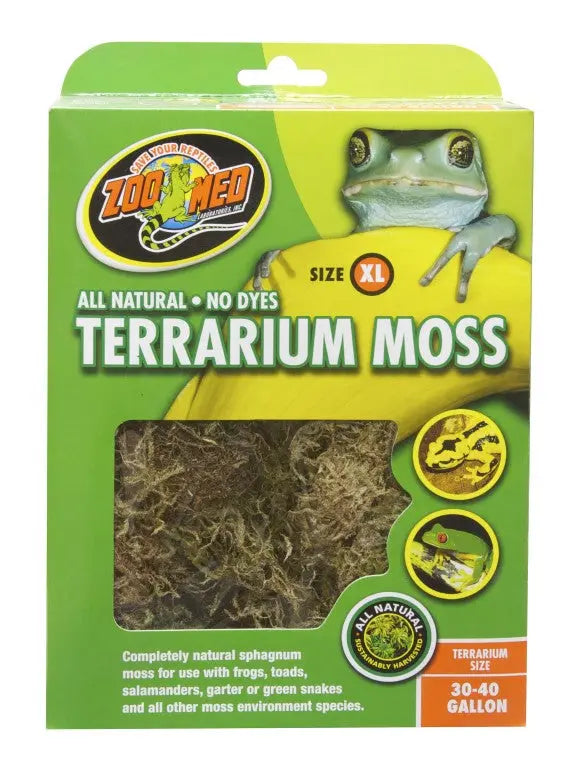 cf2-x-097612200249-terrarium-moss