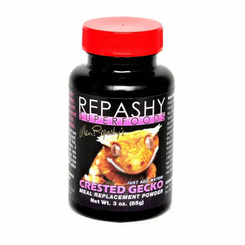 crestedgeckomrp3oz_web_weblowres