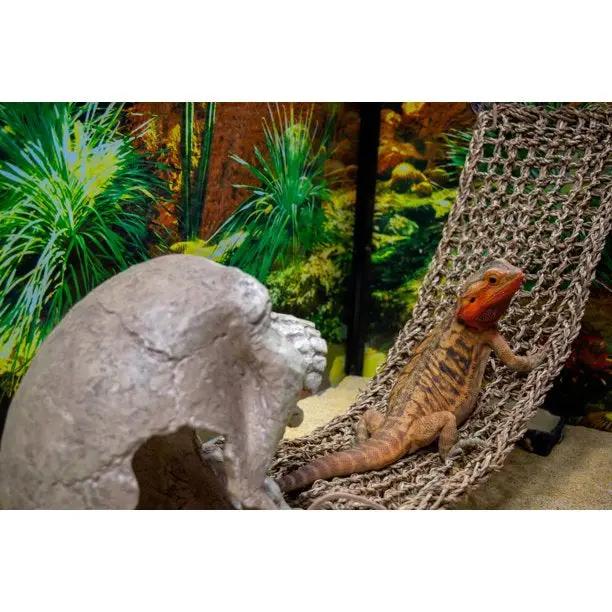 d63d7302-48b1-4ae1-a661-5f5ef281e740_5