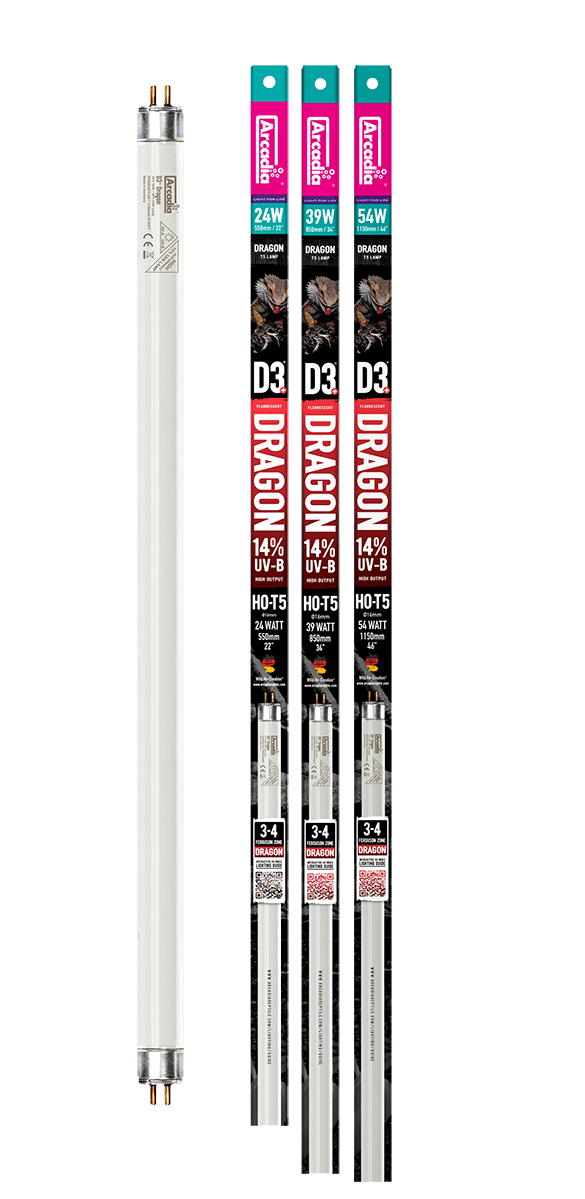 Arcadia D3 UVB Replacement Lamp - Dragon 14% Arcadia