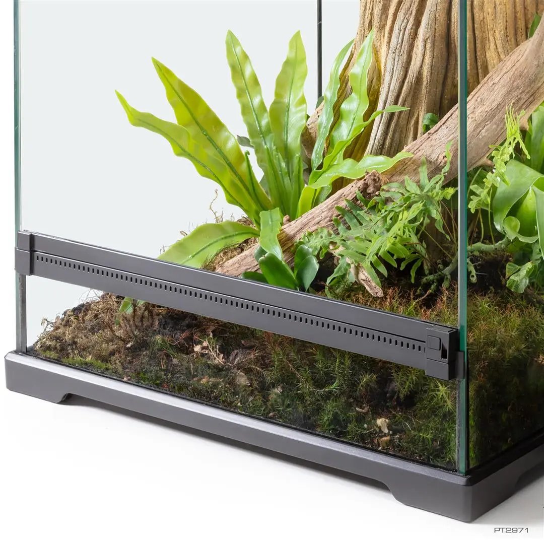 exoterra-pt2971-birdsnestfern-b-int