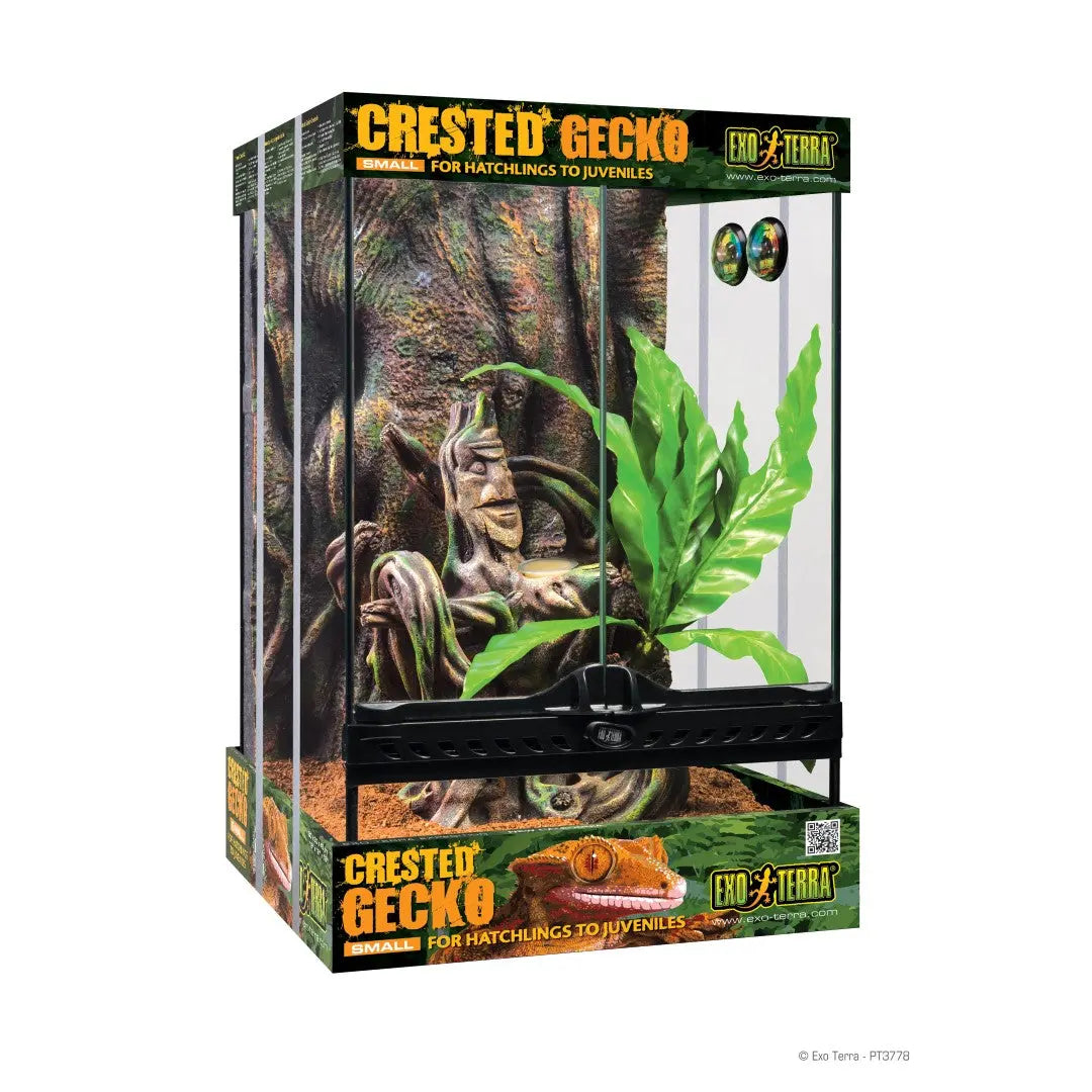 Exo Terra Crested Gecko Habitat Kit – All Reptiles