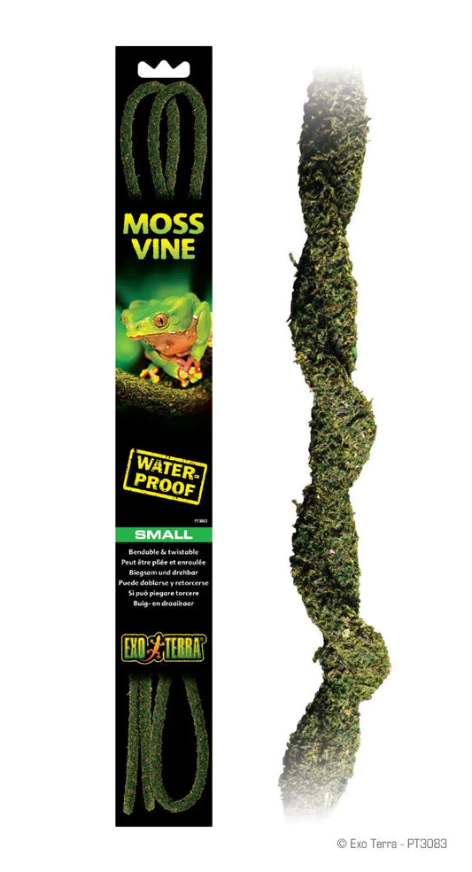 hr_moss-vine_pt3083_rgb_1