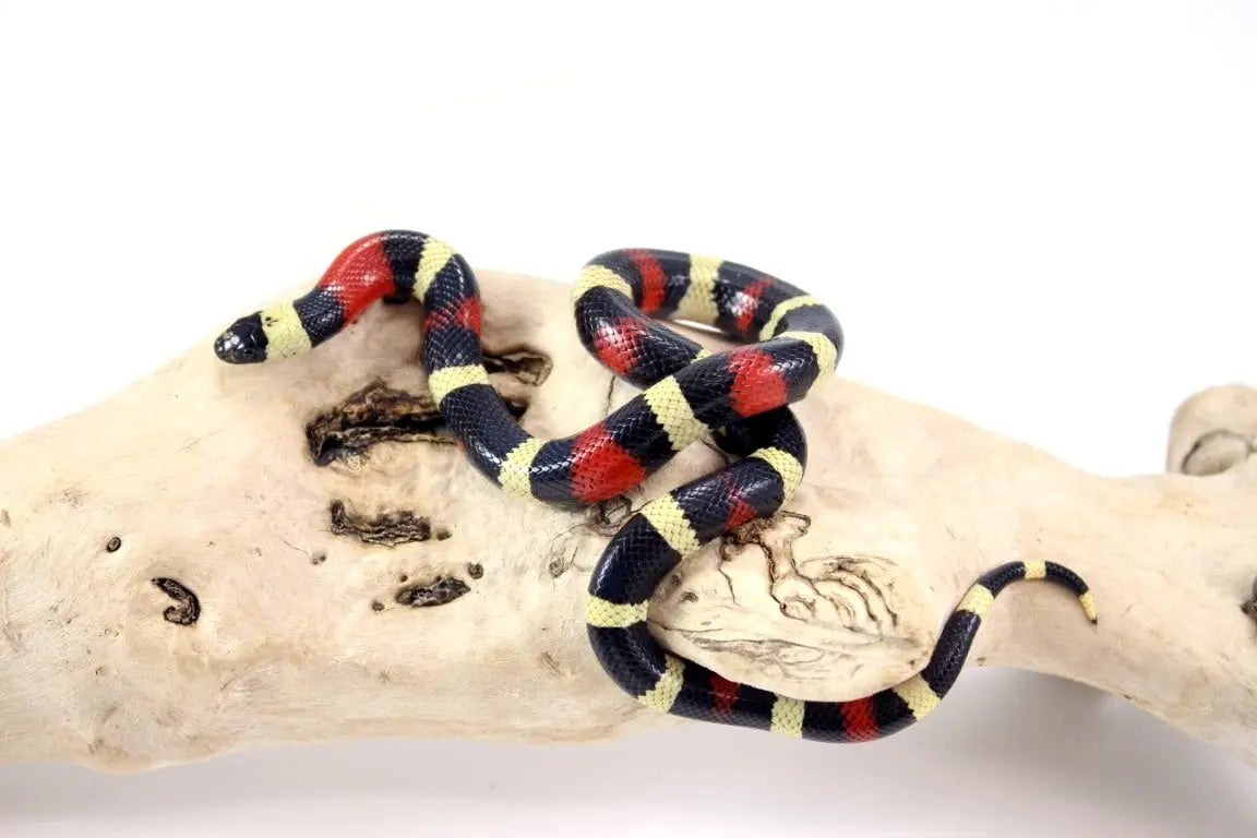 img_0016_4_2_1_2_1_1