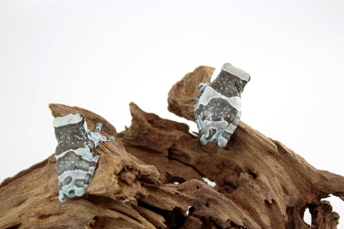 img_9012_2_2_1_1_1_1