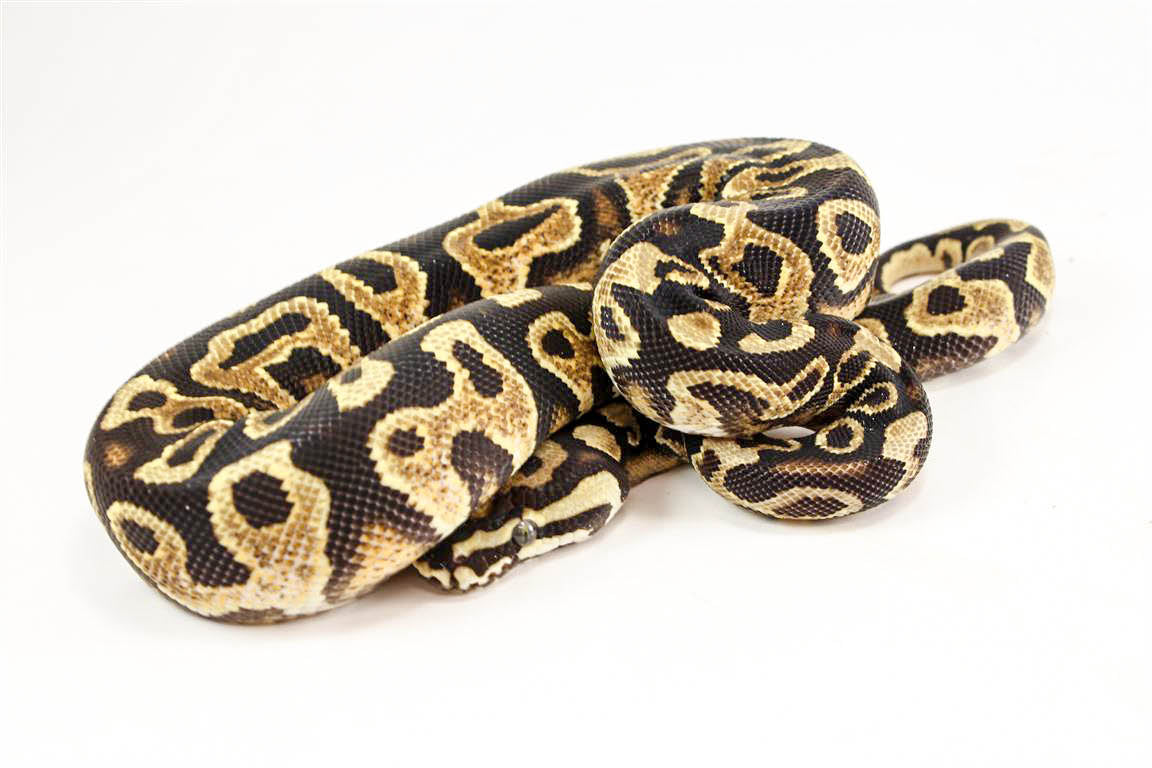 img_9014_medium__edited-2_2