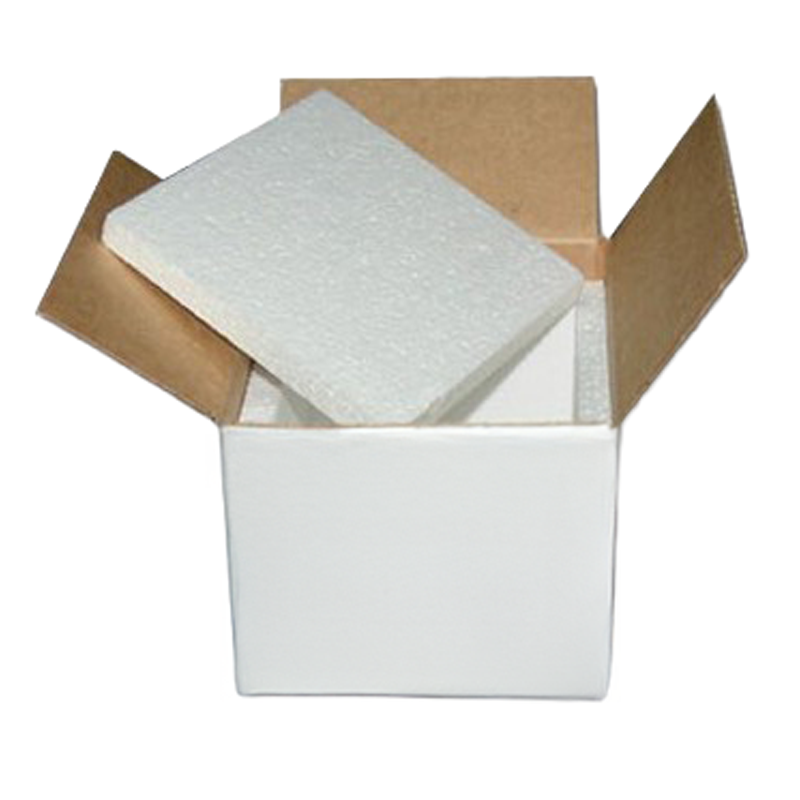 Insulated Shipping Packaging All Reptiles