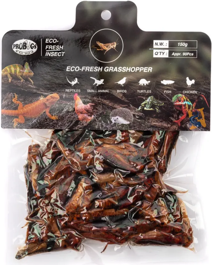 ProBugs Grasshopper Pro Bugs