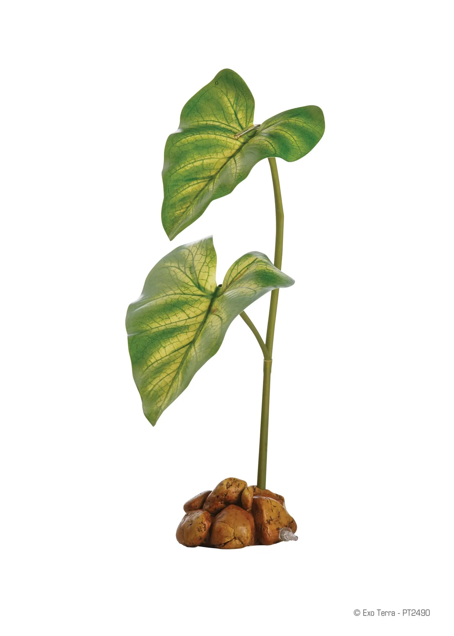 product_dripper_plant_small_pt2490_rgb