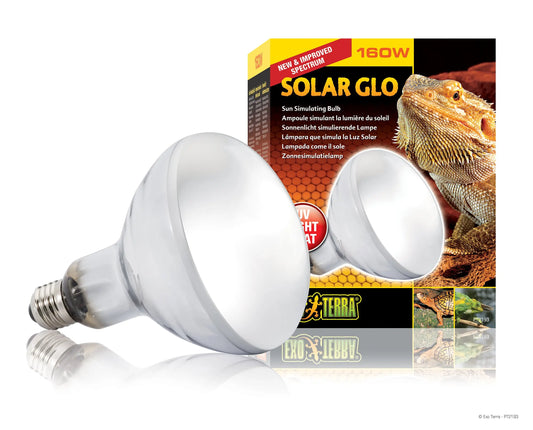 pt2193_solar_glo_set_1