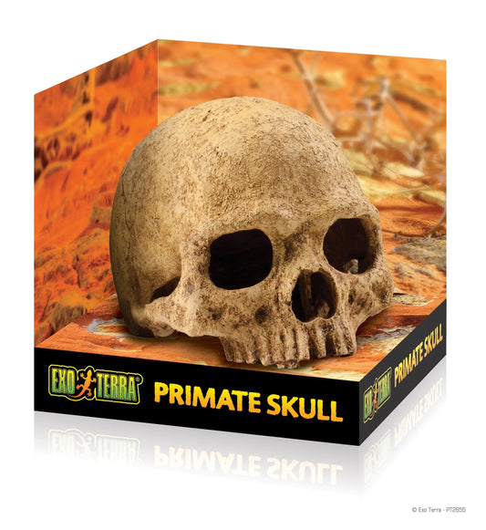 pt2855_primate_skull_packaging