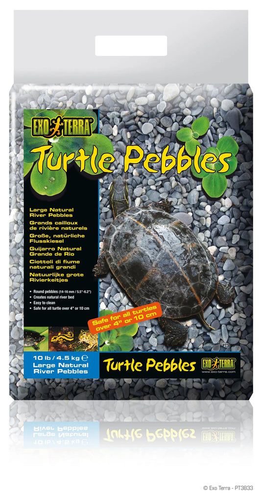 pt3833_turtle_pebbles_packaging