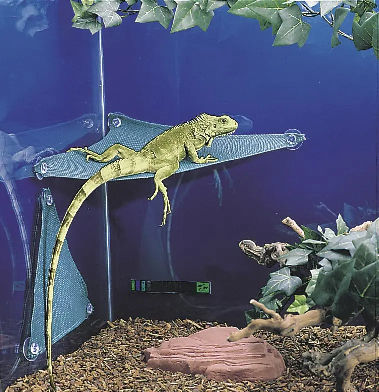 sp-20-hammock-in-action_1