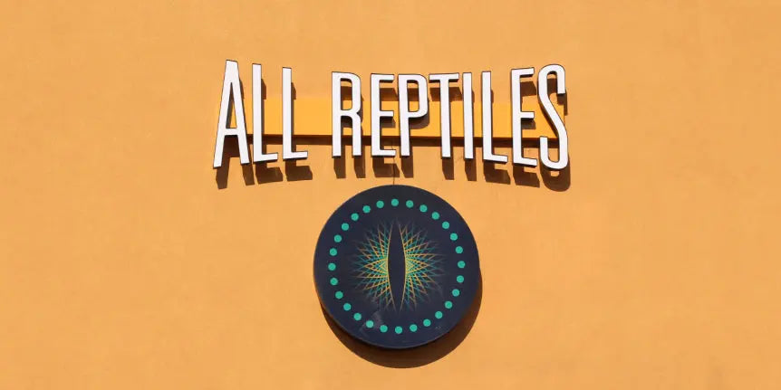 Why we changed our logo