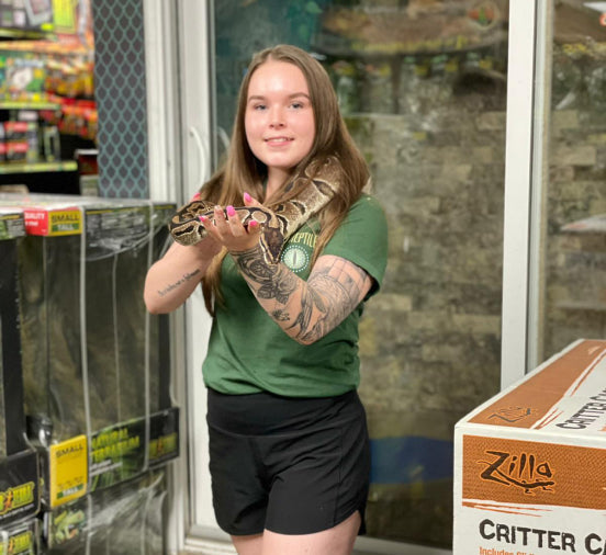 test-sub All Reptiles
