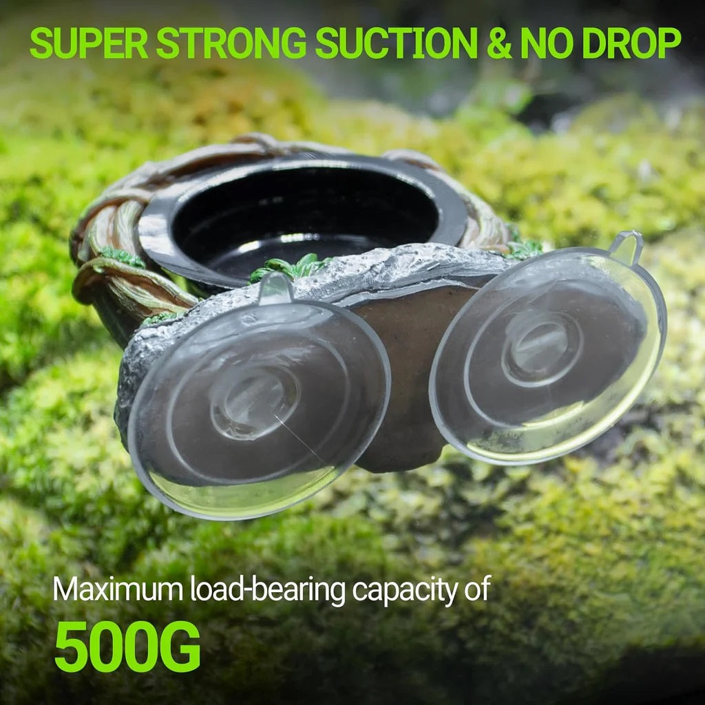 ReptiZoo Vine Ledge Single Feeder