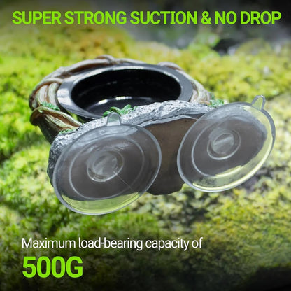 ReptiZoo Vine Ledge Single Feeder