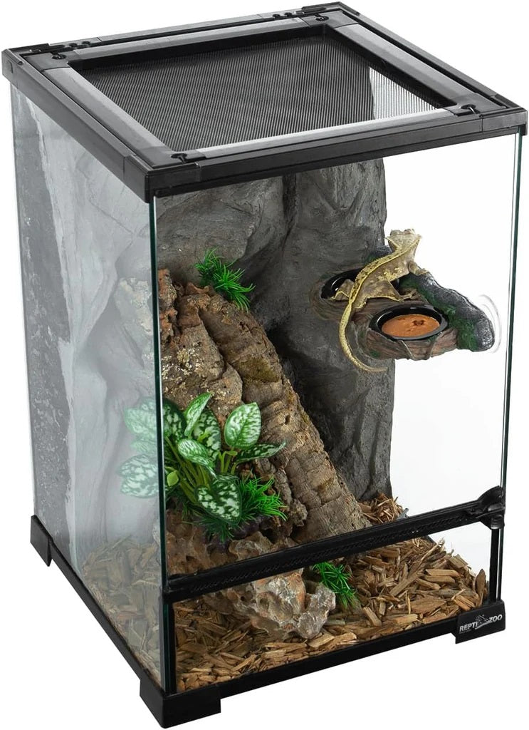 ReptiZoo Vine Ledge Double Feeder