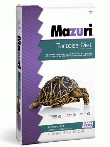 727613603625_25lbtortoise_center_1_1