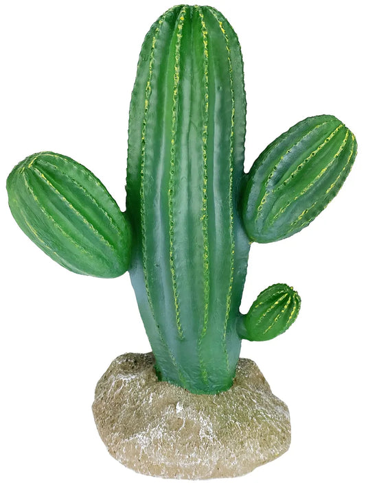 Komodo Saguaro Cactus