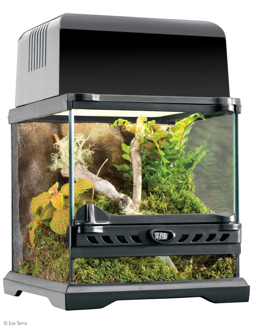 Exo Terra Glass Terrarium All Reptiles - Main Image