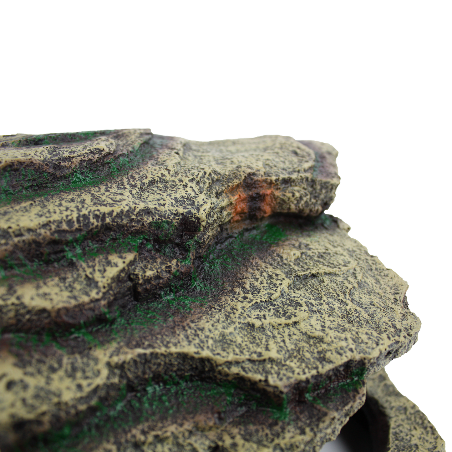 Komodo Corner Hut Zilla