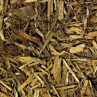 ZM Forest Floor Bedding