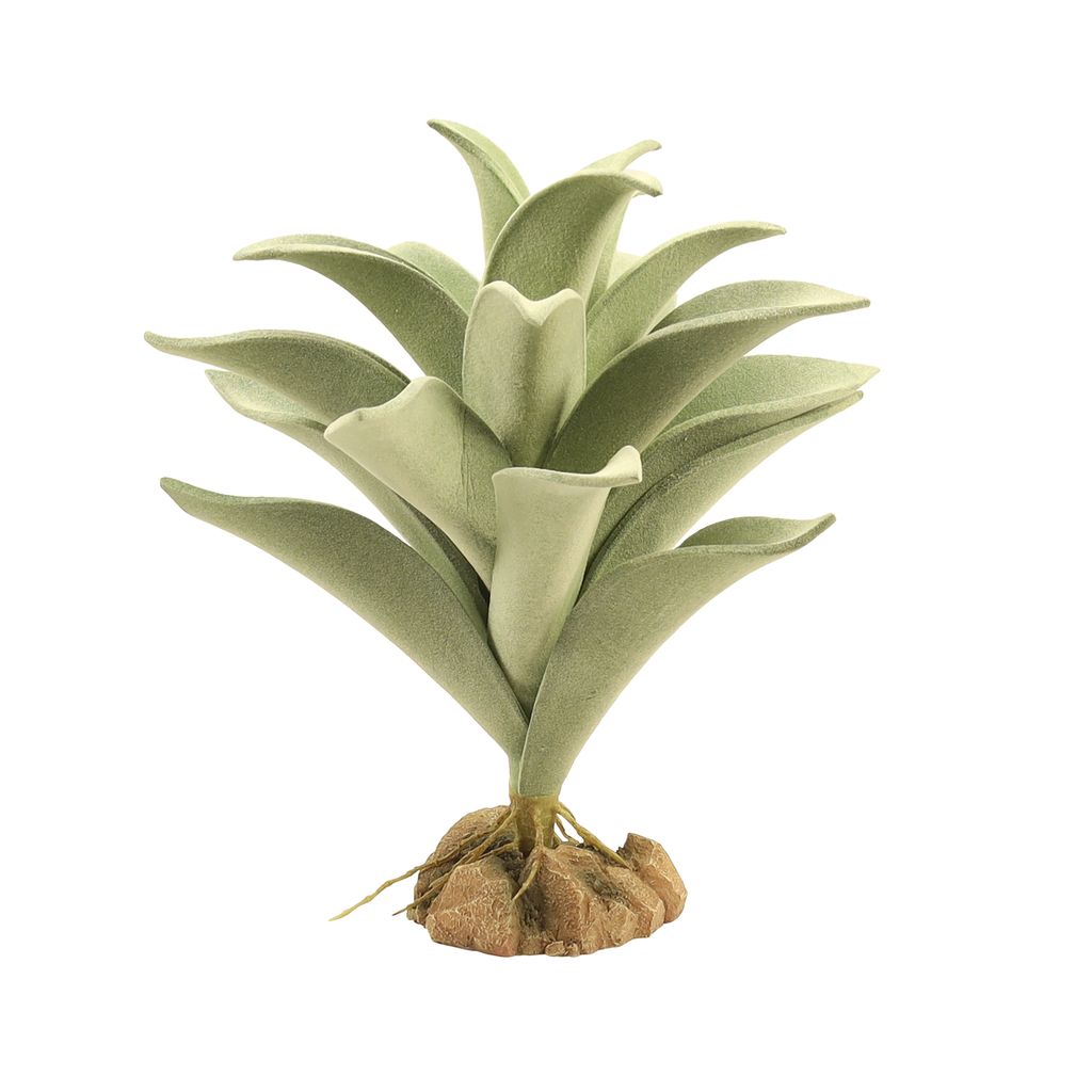 ZM Desert Silver Mullein Zoo Med