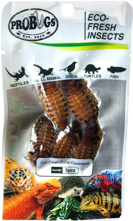 ProBugs Dubia Exo Terra