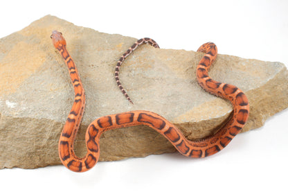 Scaleless Okeetee Corn Snake
