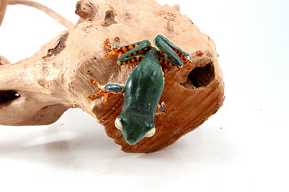 CB Super Tigerleg Monkey Tree Frog